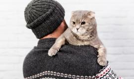 Снимок веб-страницы_18-11-2022_121852_www.freepik.com.jpeg