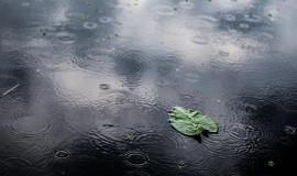 Без имени.jpg