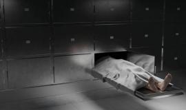 Снимок веб-страницы_22-11-2022_124447_www.freepik.com.jpeg