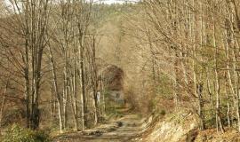 Без имени.jpg