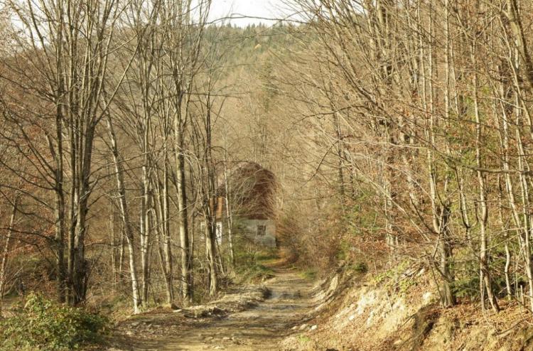 Без имени.jpg