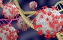 medical-concept-background-3d-illustrated-virus-virus-cell-bacterial-background-covid19-mutant-virus_127345-1381.jpg