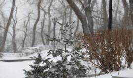 1Алексей Воронин.jpg