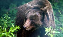 Снимок веб-страницы_9-1-2023_15269_www.freepik.com.jpeg