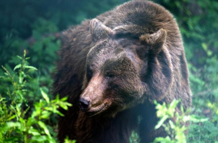 Снимок веб-страницы_9-1-2023_15269_www.freepik.com.jpeg