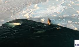 Снимок веб-страницы_13-1-2023_11952_web.telegram.org.jpeg