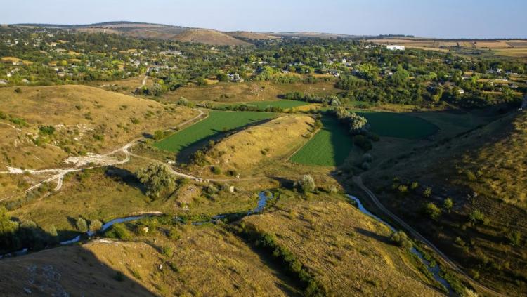 Снимок веб-страницы_26-1-2023_154742_www.freepik.com.jpeg