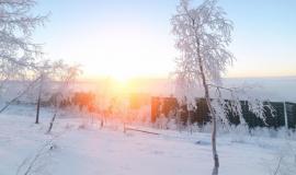 birches-hoarfrost-morning-frosty-dawn-arctic-tundra_143715-1440.jpg