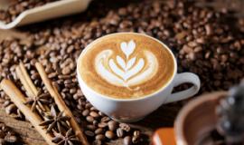 1 Тигр с вертолета.JPG