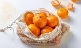 1 Тигр с вертолета.JPG