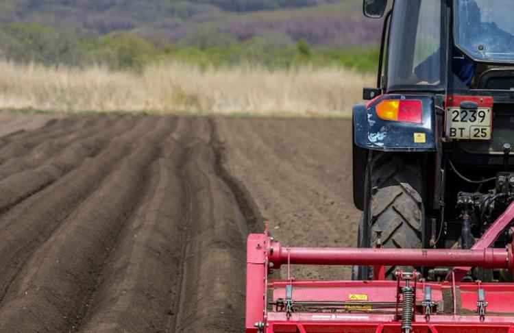 1 Тигр с вертолета.JPG