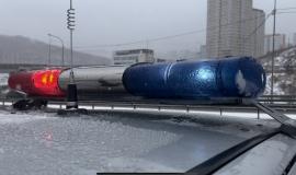 1 Тигр с вертолета.JPG