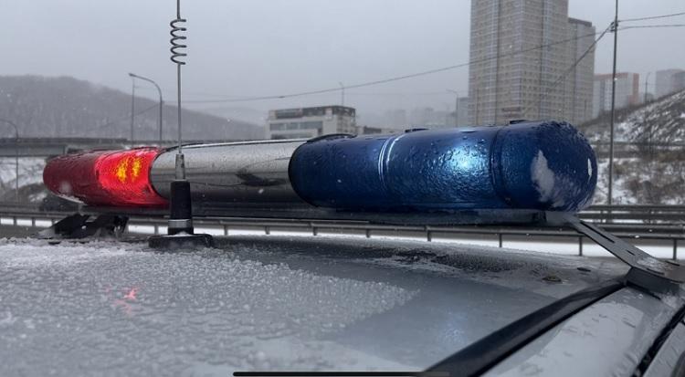 1 Тигр с вертолета.JPG