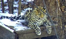 1 В вольере (1).jpg