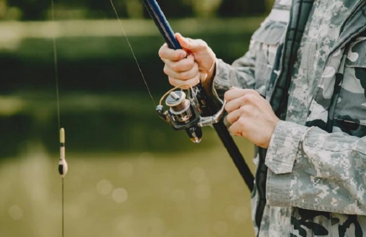 Снимок веб-страницы_1-3-2023_16748_www.freepik.com.jpeg