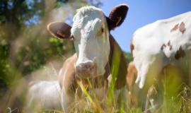 Снимок веб-страницы_9-3-2023_16257_www.freepik.com.jpeg