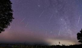 Снимок веб-страницы_22-4-2023_11211_www.freepik.com.jpeg