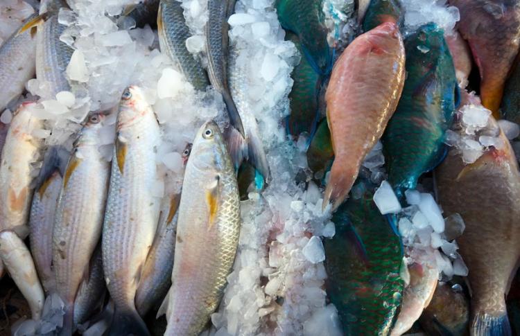 Снимок веб-страницы_24-4-2023_101726_www.freepik.com.jpeg