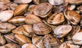 Снимок веб-страницы_4-5-2023_94429_www.freepik.com.jpeg