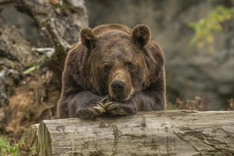 Снимок веб-страницы_7-6-2023_132350_www.freepik.com.jpeg