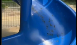 Безымянный 1.png