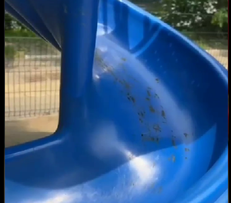 Безымянный 1.png