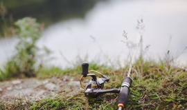 fishing-rod-on-green-grass.jpg