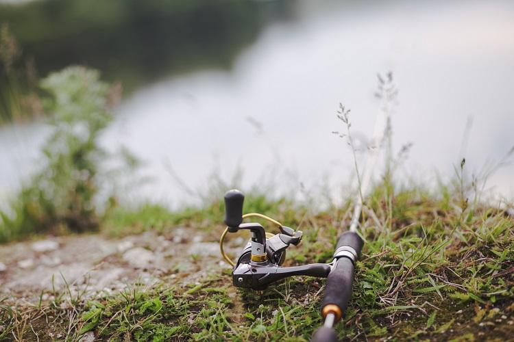 fishing-rod-on-green-grass.jpg