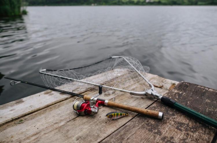 Снимок веб-страницы_6-7-2023_125941_www.freepik.com.jpeg