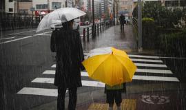 Снимок веб-страницы_7-7-2023_132332_www.freepik.com.jpeg