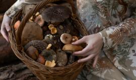 Снимок веб-страницы_17-7-2023_10335_www.freepik.com.jpeg