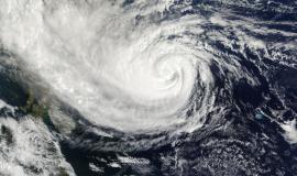 Снимок веб-страницы_24-7-2023_15036_www.freepik.com.jpeg