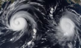 Снимок веб-страницы_4-8-2023_143337_www.freepik.com.jpeg