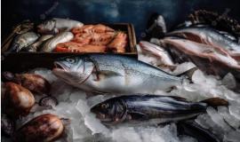 Снимок веб-страницы_4-8-2023_15018_www.freepik.com.jpeg