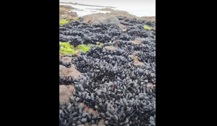 Снимок веб-страницы_4-8-2023_1690_astv.ru.jpeg