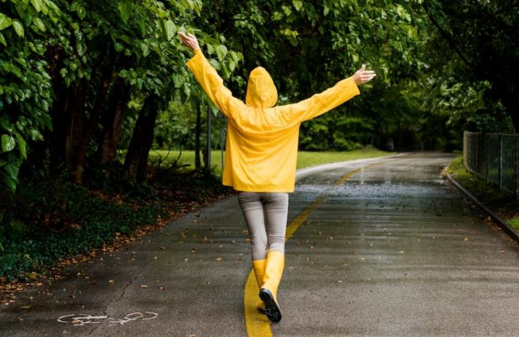 Снимок веб-страницы_8-8-2023_9058_www.freepik.com.jpeg