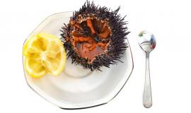 Снимок веб-страницы_14-8-2023_153443_www.freepik.com.jpeg