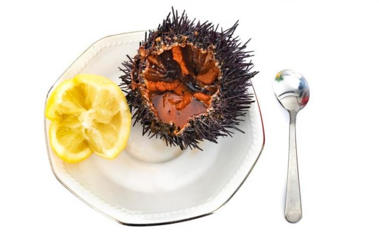 Снимок веб-страницы_14-8-2023_153443_www.freepik.com.jpeg