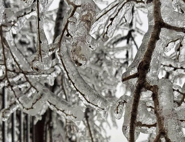 Снег ожидается во Владивостоке на следующей неделе