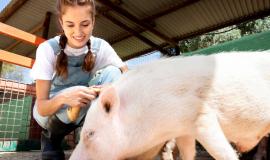 Снимок веб-страницы_3-10-2023_11915_www.freepik.com.jpeg