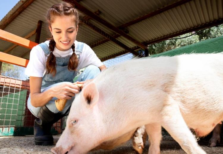 Снимок веб-страницы_3-10-2023_11915_www.freepik.com.jpeg