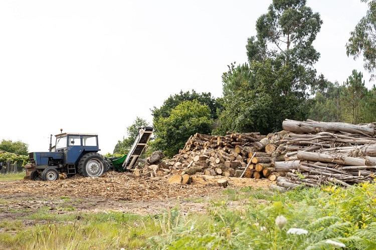 rural-scene-with-stacked-trees-and-a-tractor-with-wood-splitter-to-chop-firewood-copy-space_136875-2458.jpg