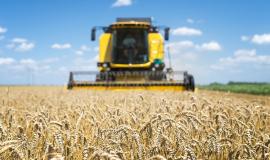 combine-harvester-working-in-the-field.jpg