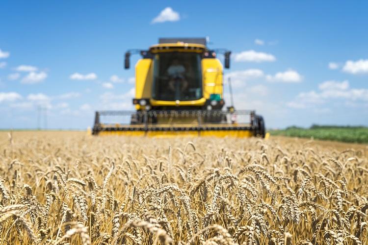 combine-harvester-working-in-the-field.jpg