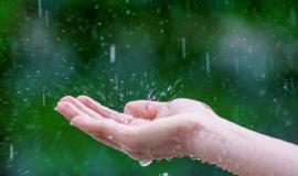 close-up-wet-female-hands-rain_335224-884.jpg