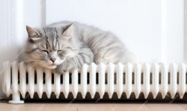 cat-lies-heating-radiatorthe-cat-warms-up-battery-created-with-generative-ai-technology_505557-12853.jpg