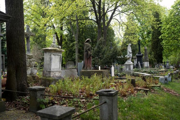 view-graves-cemetery_23-2149435520.jpg