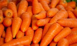 carrots-1508847_1280.jpg