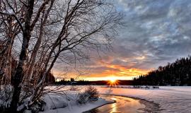 winter-landscape-2995987_1280.jpg