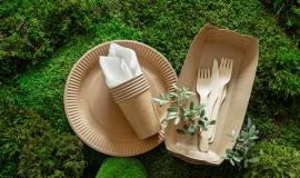 environmentally-friendly-disposable-recyclable-tableware_169016-4312.jpg